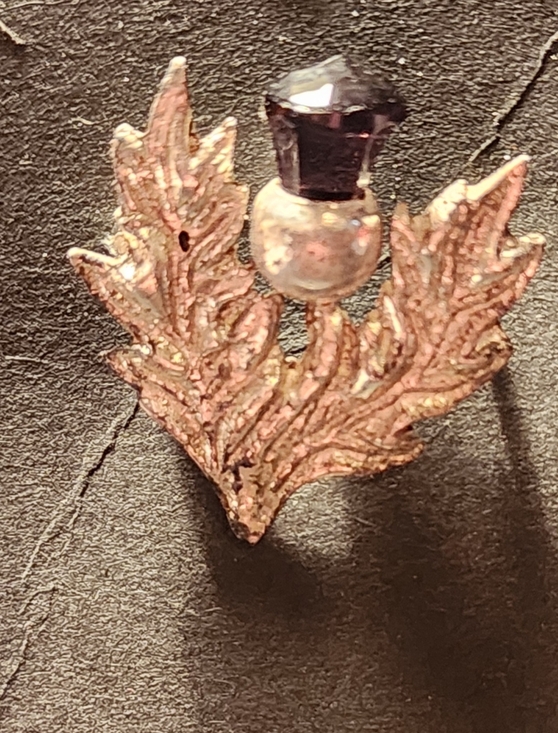 Jewelry - Silver Leaf Crystal Accent Pin